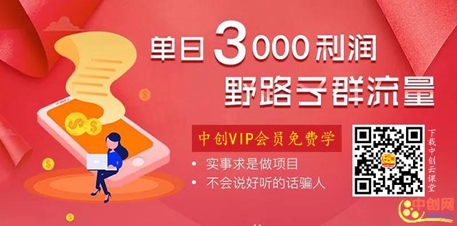 图片[2]-（1021期）野路子群流量项目：稳定之后可实现日盈利3000-5000，轻松实现月入3万+-副业网