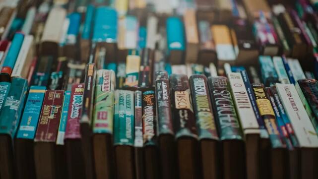 图片[2]-（1074期）小说作家带你30天写小说，靠小说赚钱，真正实用培训营！-副业库