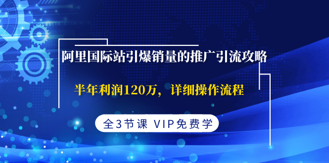 （1374期）阿里国际站引爆销量的推广引流攻略，半年利润120万，详细操作流程(全3节课)-副业网