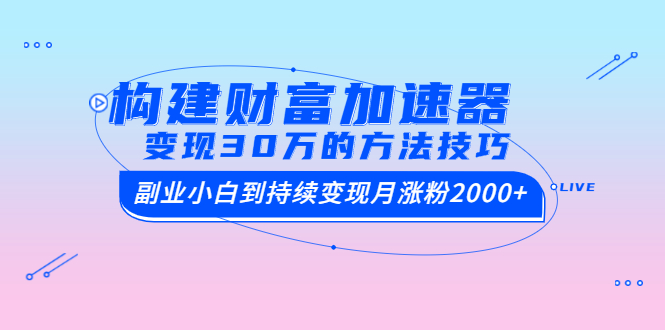 （1461期）构建财富加速器，副业小白到持续变现月涨粉2000+，变现30万的方法技巧-副业库