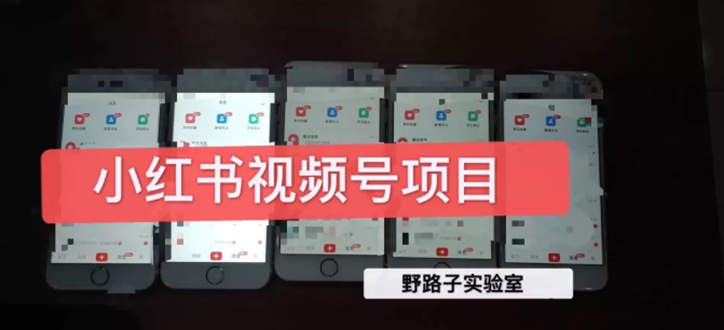 （1566期）野路子小红书课程月入过万：直接上手操作就能赚钱的视频号项目 可长久操作-副业网