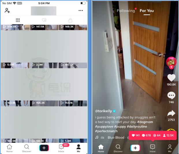 图片[5]-（1701期）龟课·Tik Tok变现实战训练营线上第2期：日入上百+美刀 月收益上万不成问题-副业网