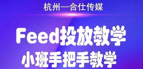 （1749期）合仕传媒Feed投放教学，手把手教学，开车烧钱必须自己会！-副业网