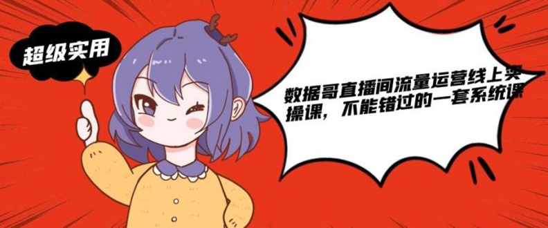 （1866期）数据哥直播间流量运营线上实操课，不能错过的一套系统课-副业库