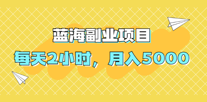 （1953期）蓝海副业项目，每天2小时，月入5000，附详细操作流程-副业网