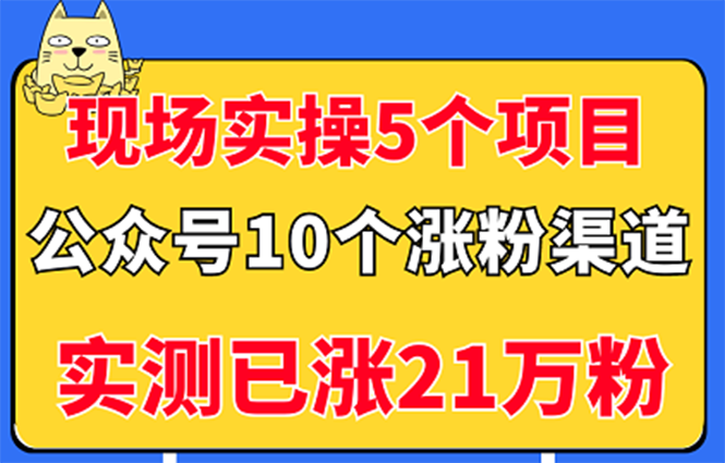 （2947期）现场实操5个公众号项目，10个涨粉渠道，实测已涨21万粉！-副业库