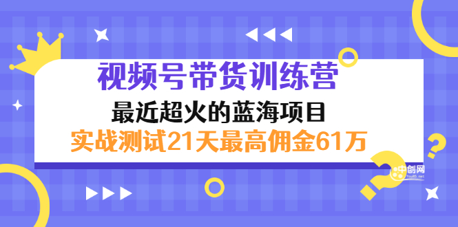 （2946期）外面收899【视频号带货训练营】最近超火：实测21天最高佣金61W(7月4日更新)-副业库