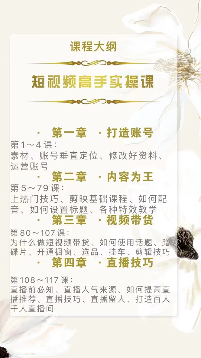 图片[2]-（2889期）短视频高手实操课：从入门到精通，账号+运营+直播，应有尽有！-副业网