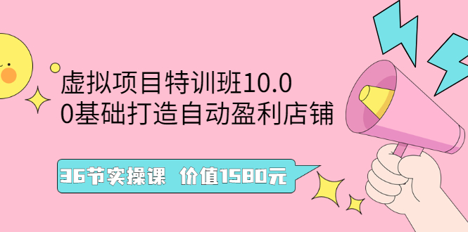 （2497期）虚拟项目特训班10.0，0基础打造自动盈利店铺 36节实操课-副业网