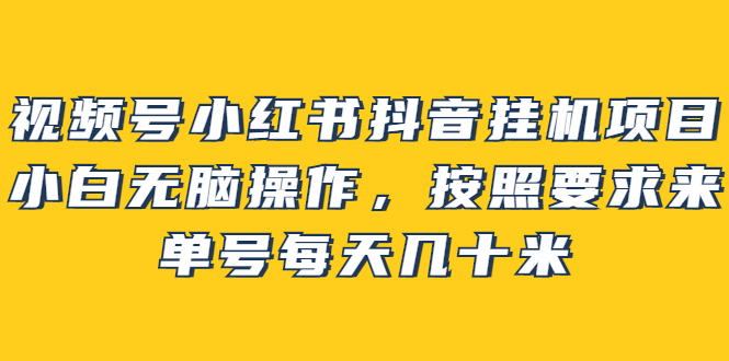 （2437期）视频号小红书抖音挂机项目，小白无脑操作，按照要求来，单号每天几十米-副业网