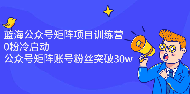 （2405期）蓝海公众号矩阵项目训练营，0粉冷启动，公众号矩阵账号粉丝突破30w-副业库