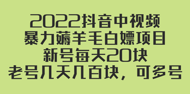 （2402期）2022抖音中视频暴力薅羊毛白嫖项目：新号每天20块，老号几天几百块，可多号-副业库
