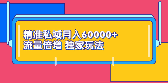 （2353期）精准私域月入60000+ 流量倍增 独家玩法（9节视频课）-副业网