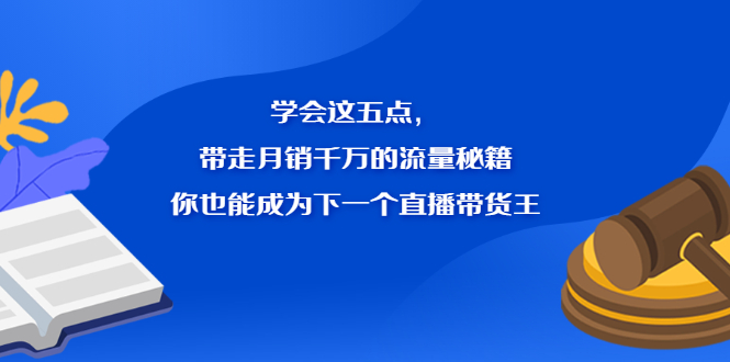 （2326期）学会这五点，带走月销千万的流量秘籍，你也能成为下一个直播带货王-副业库
