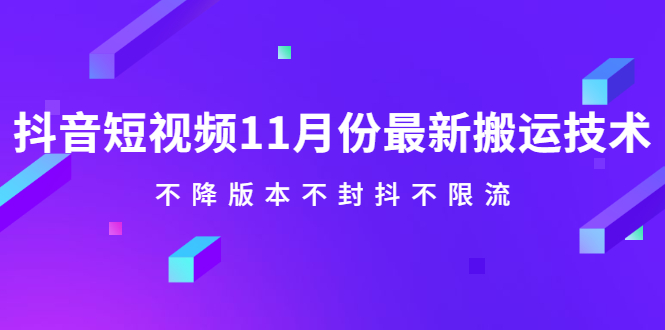 （2141期）抖音短视频11月份最新搬运技术，不降版本不封抖不限流！【视频课程】-副业库