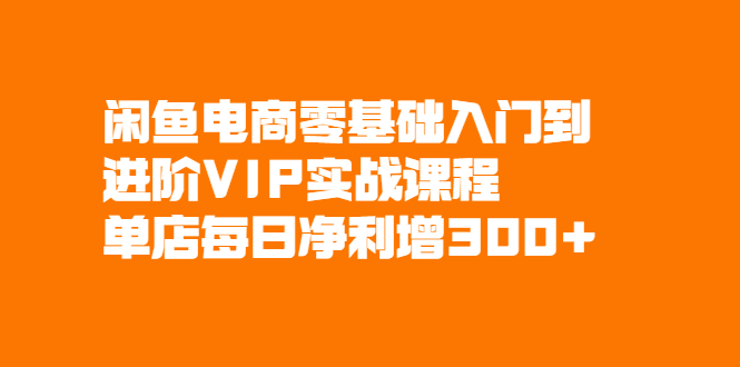 （2082期）闲鱼电商零基础入门到进阶VIP实战课程，单店每日净利增300+-副业库