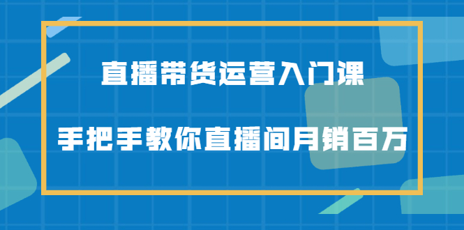 （2078期）直播带货运营入门课，手把手教你直播间月销百万-副业库