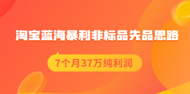（2054期）淘宝蓝海暴利非标品先品思路，7个月37万纯利润，压箱干货分享！-副业库