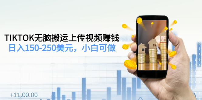 （3142期）TIKTOK无脑搬运上传视频赚钱，日入150-250美元，小白可做（2节视频课）-副业网