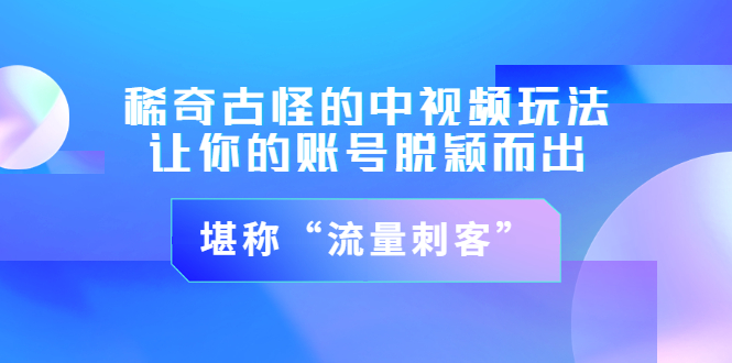 （3159期）稀奇古怪的中视频玩法，让你的账号脱颖而出，堪称“流量刺客”（图文+视频)-副业库