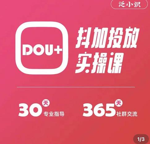 图片[2]-（3190期）泛小识精品课系列：抖加投放实操课，干货慢慢，新手必学（12节视频课）-副业库