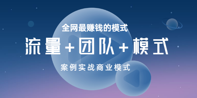 （3226期）全网最赚钱的模式《流量+团队+模式》案例实战商业模式-副业网