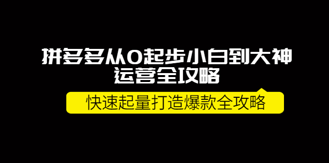 （3884期）拼多多从0起步小白到大神运营全攻略，快速起量打造10W+爆款全攻略！-副业网