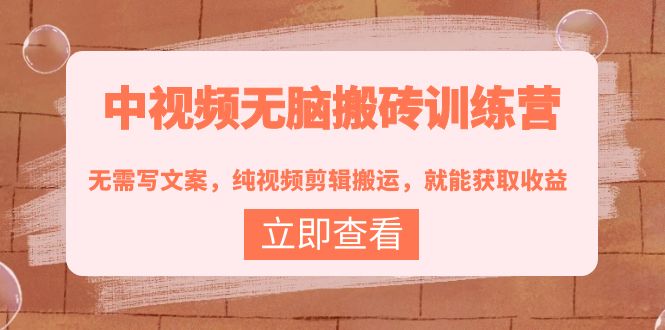 （3878期）中视频无脑搬砖训练营：无需写文案，纯视频剪辑搬运，就能获取收益！-副业网