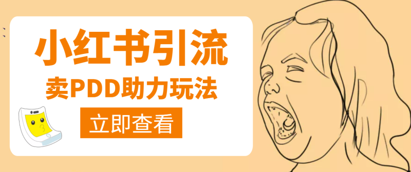 （3890期）利用小红书卖拼多多助力，日赚100+，顺便还能引个流【视频课程】-副业网