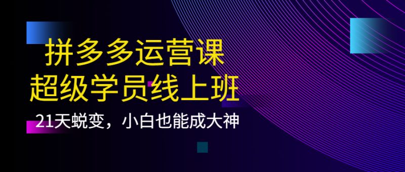 （3929期）拼多多运营课：超级学员线上班，21天蜕变，小白也能成大神-副业网