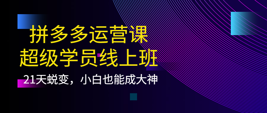 （3929期）拼多多运营课：超级学员线上班，21天蜕变，小白也能成大神-副业网