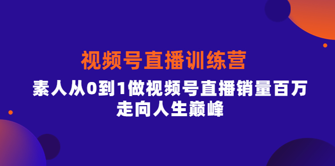 （3927期）行动派·视频号直播训练营，素人从0到1做视频号直播销量百万，走向人生巅峰-副业网