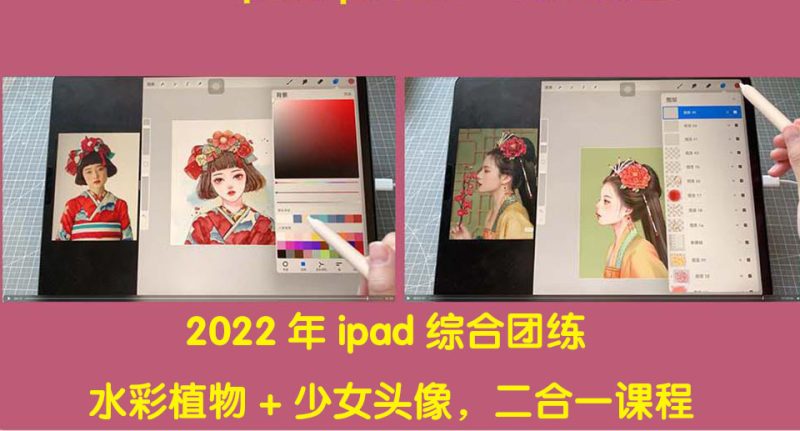 （4002期）2022年ipad综合团练水彩植物+少女头像，二合一课程（40节课）-副业库