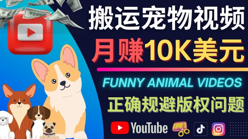 （4221期）搬运TIKTOK视频到YouTube，并进行二次创作，月赚1万美元以上-副业库