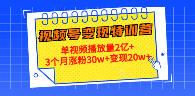 （4455期）20天视频号变现特训营：单视频播放量2亿+3个月涨粉30w+变现20w+-副业网