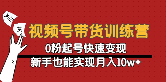 （4446期）视频号带货训练营：0粉起号快速变现，新手也能实现月入10w+-副业网