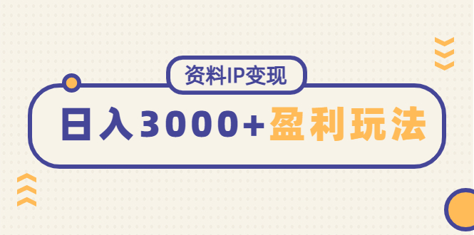 （4576期）资料IP变现，能稳定日赚3000起的持续性盈利玩法-副业网