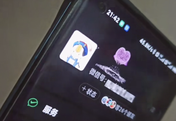 图片[2]-（4980期）微信动态昵称设置方法，可抖音直播引流，日赚上百【详细视频教程+素材】-副业网