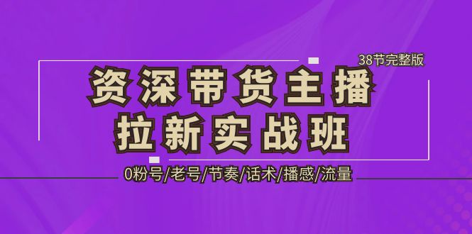 （5191期）资深·带货主播拉新实战班，0粉号/老号/节奏/话术/播感/流量-38节完整版-副业网