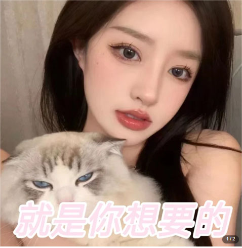 图片[2]-（5273期）微信交友变现项目，吸引全网LSP男粉精准变现，小白也能轻松上手，日入500+-副业库