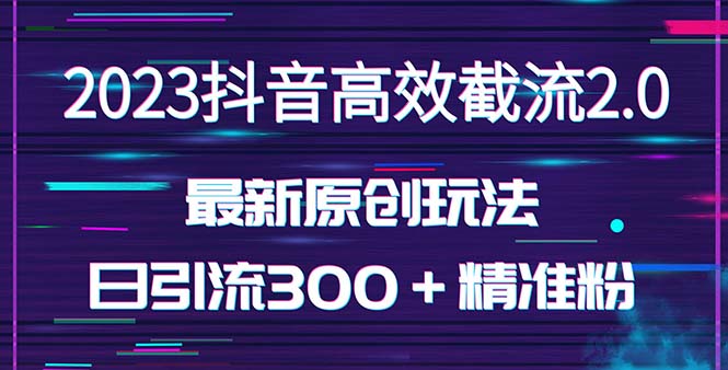 （5293期）日引300＋创业粉，独家抖音高效截流2.0玩法（价值1280）-副业网