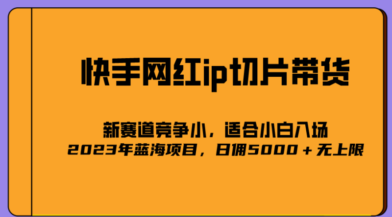 （5346期）2023爆火的快手网红IP切片，号称日佣5000＋的蓝海项目，二驴的独家授权-副业网