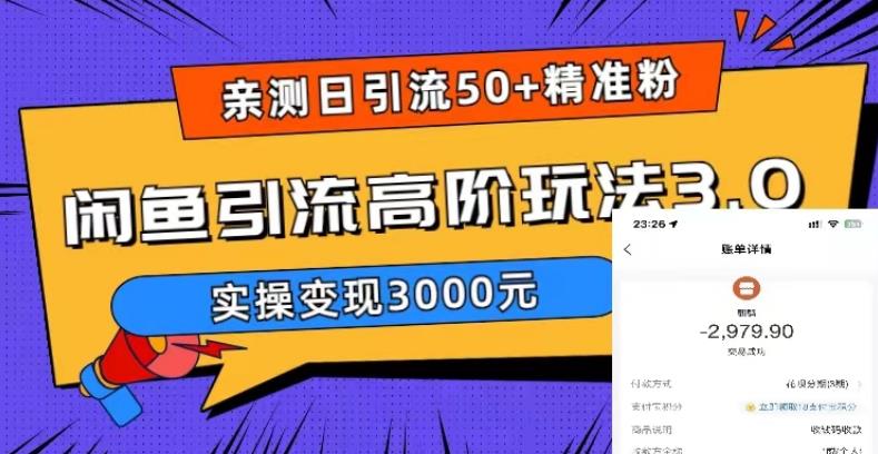 （5739期）实测日引50+精准粉，闲鱼引流高阶玩法3.0，实操变现3000元-副业库