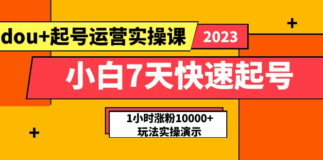 （5878期）小白7天快速起号：dou+起号运营实操课，实战1小时涨粉10000+玩法演示-副业网