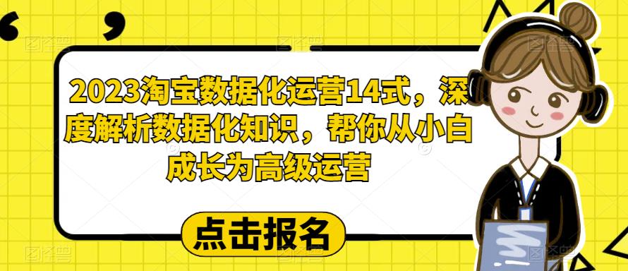 （6475期）2023淘宝数据化-运营 14式，深度解析数据化知识，帮你从小白成长为高级运营-副业库