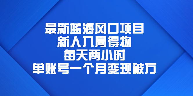 （6514期）最新蓝海风口项目，新人入局得物，每天两小时，单账号一个月变现破万-副业库