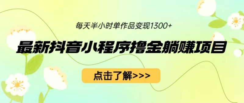 （6613期）最新抖音小程序撸金躺赚项目，一部手机每天半小时，单个作品变现1300+-副业网