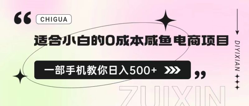 （6652期）适合小白的0成本咸鱼电商项目，一部手机，教你如何日入500+的保姆级教程-副业网