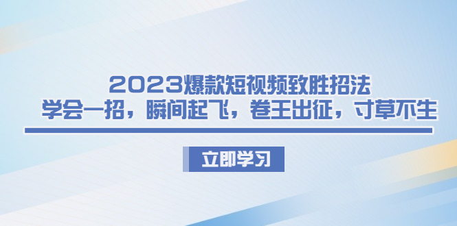 （6738期）2023爆款短视频致胜招法，学会一招，瞬间起飞，卷王出征，寸草不生-副业网