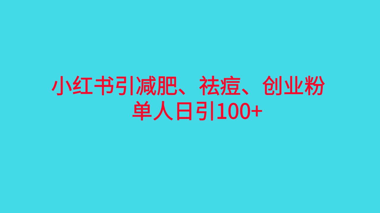 （6799期）小红书精准引流，减肥、祛痘、创业粉单人日引100+（附软件）-副业网